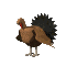 Thanksgiving Turkey.gif (8518 bytes)